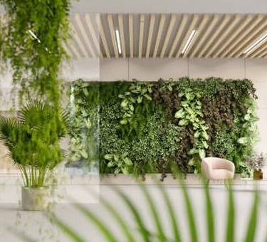 Lush residential garden