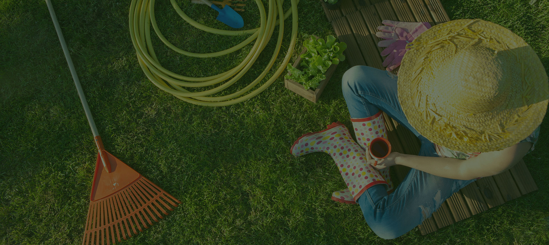 Professional gardener at work in a lush Perth garden